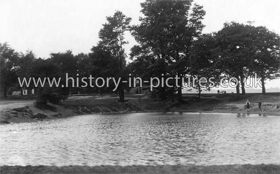 Warren Pond, Chingford, London. c.1910.